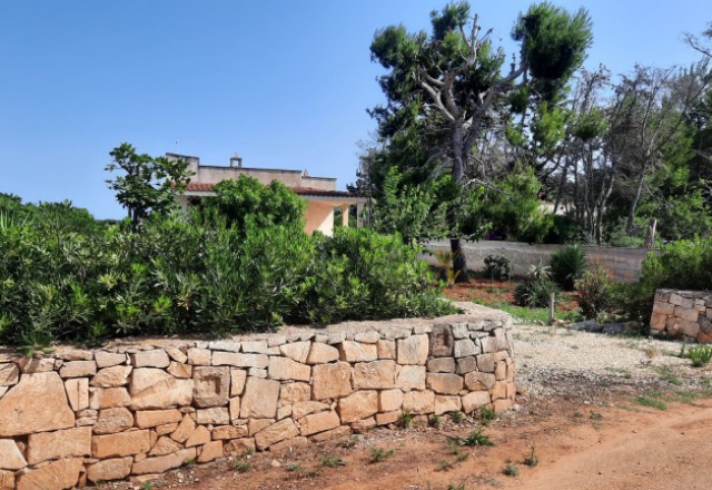 Villa con taverna e ampio terreno in localit Torre Guaceto